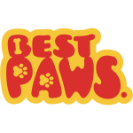 Design sem nome - 2025-11-11T103334.810