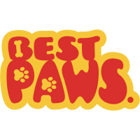 Design sem nome - 2025-11-11T103334.810